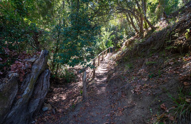 Ecolodge And Wines with native nature, where Chilean wine was born.