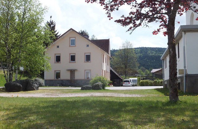 Ecologically renovated family friendly apartment in old house with charm