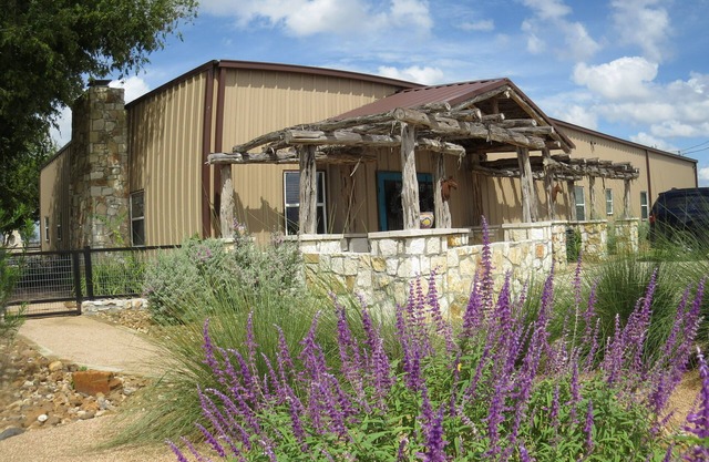 Edge of the Wild Horse Desert Lodge