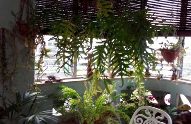 El Hostal Casa Cuevas