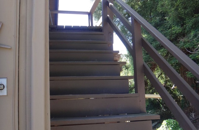 Elevated guest house : observe wildlife & near Zoo too!