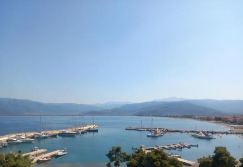 Elmar Mosaic Suites