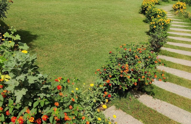 Enite Farm