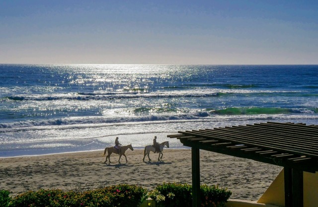 Entire 1st floor Beachfront Condo 3BD 2 BA in La Playa La Mision