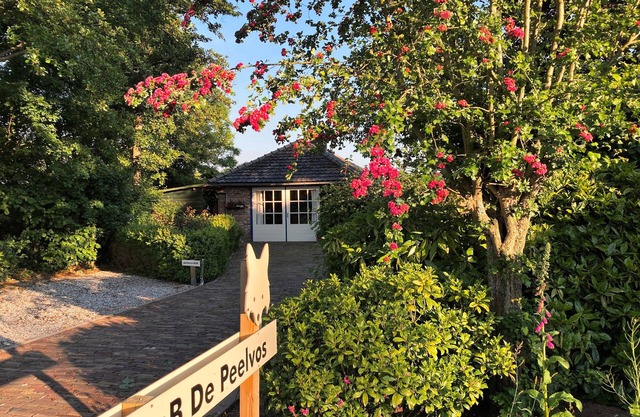 Entire home as a Bed and Breakfast