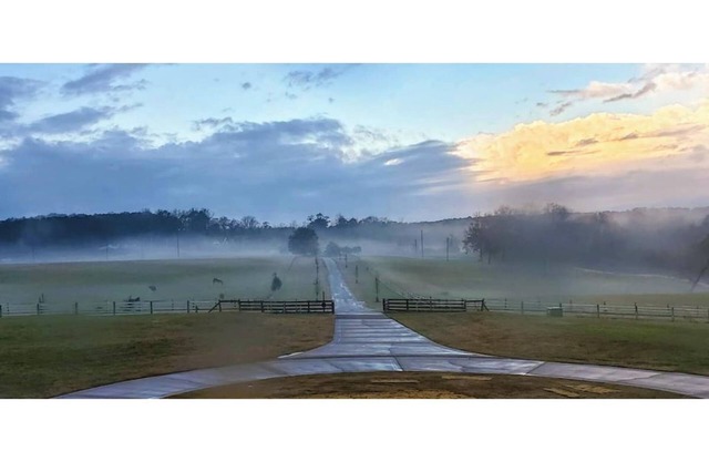 Entire House & Horse Farm - Outside Atlanta