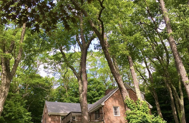 Escape to a modern rustic retreat in the heart of nature!