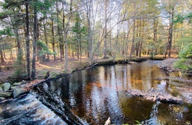 Escape to Serenity: Monthly Cottage Rental by the Stream in Pocono Lake!