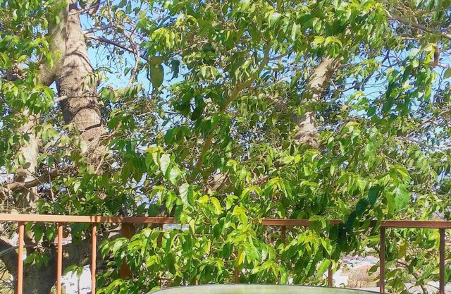 Escazú Container Studio #3. Great View & Location!