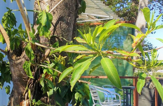 Escazú Container Studio #5 Great Space & Location!