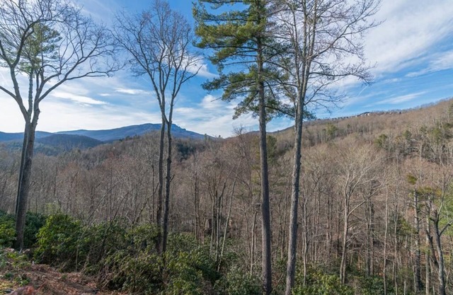 Evergreens 521- Mountain Condo, Echota Gated Resort, Grandfather Mountain View, Indoor/Outdoor Po.