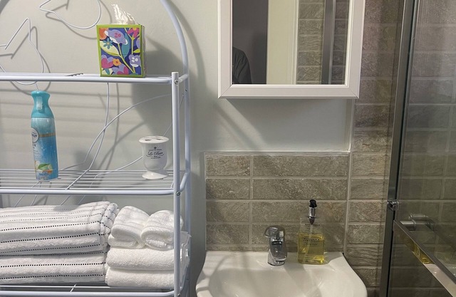 Exclusive apartment with WiFi in cool Mandeville