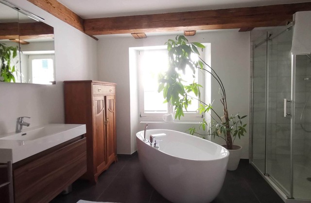 Exclusive loft apartment right on the Swiss border, just 30 minutes from Zurich