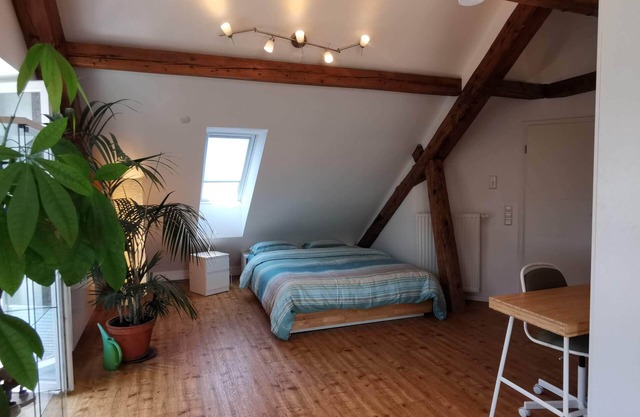 Exclusive penthouse apartment - Directly on the border to Switzerland/30 min. Zurich
