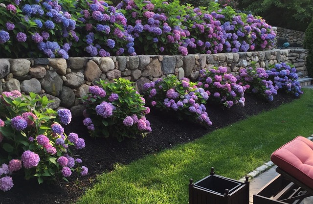 Experience Hy-View Hyannisport Exceptional Summer Getaway