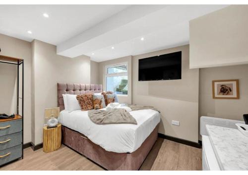 Experience Local - Quaint Basement Studio in Central Location