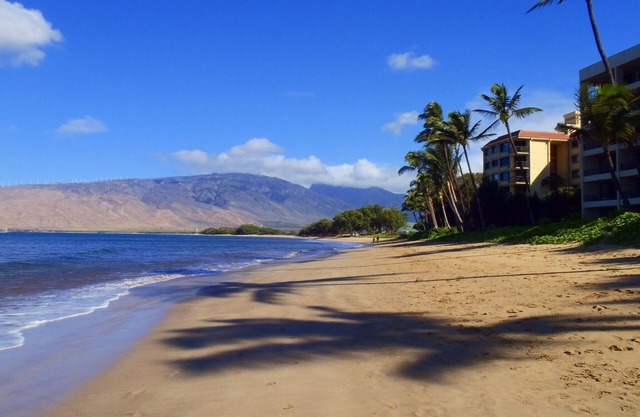 Fabulous Beachfront Property - Ground Floor Corner Unit Steps to the Beach!