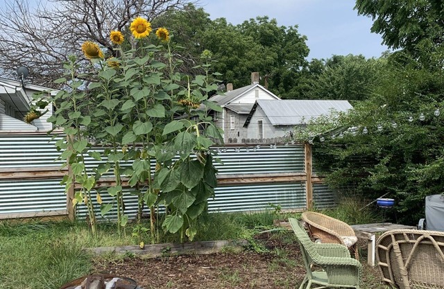 Fabulous private backyard, minutes away from downtown and greenway