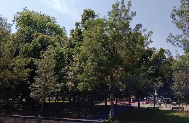 Facing the Park on the Sanctuary side