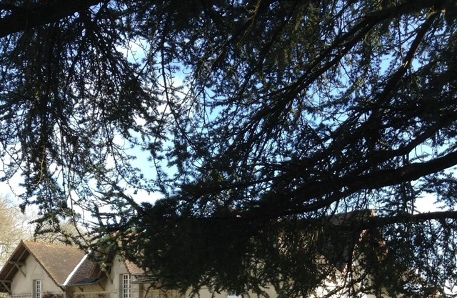 family house 12 people quiet comfort / beautiful view of the Limousin countryside
