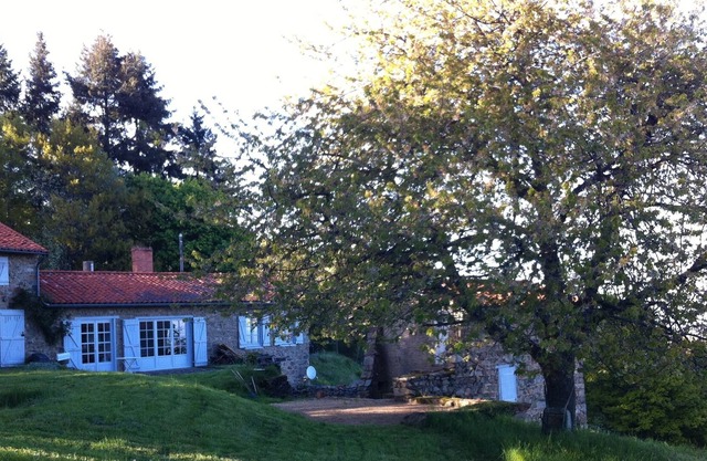 Family house in mountain above vineyards. Large domain forest and land.