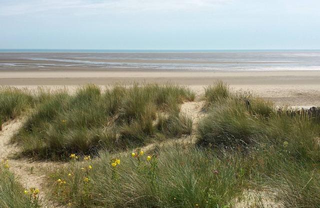 Family & Pet Friendly Home Direct On A Lovely Sandy Beach