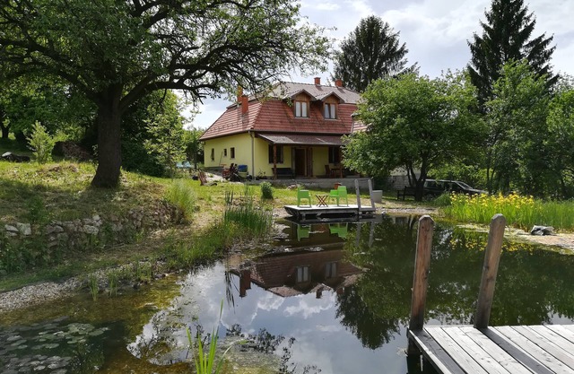 Fantastic family vacation home with ecological pool in the middle of nature.