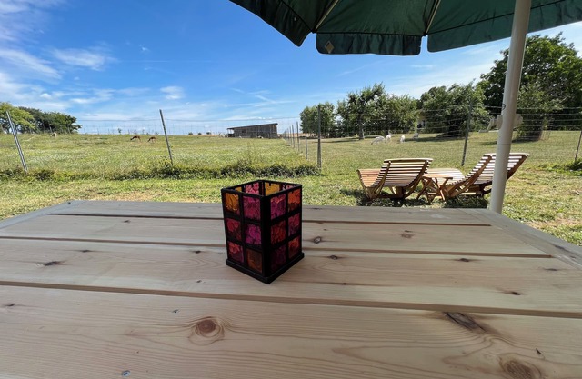 Farm glamping with alpacas and goats
