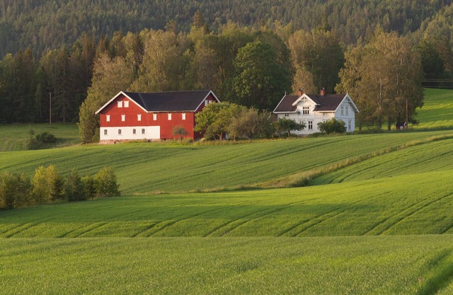 Farmhouse from the turn of the century with wood fired pizza oven
