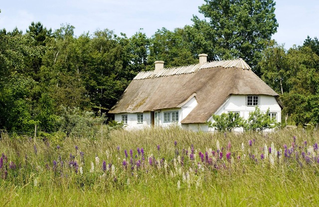Farmhouse idyll at Møns Klint