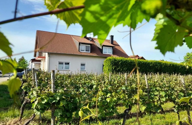 Ferienwohnung am Schoosberg, Niederkirchen bei Deidesheim