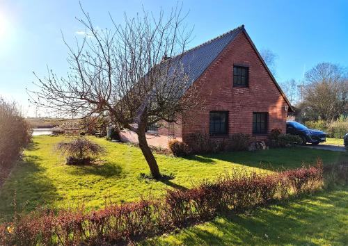 Ferienhaus Helserdeich - Urlaub zwischen Brunsbüttel und Friedrichskoog