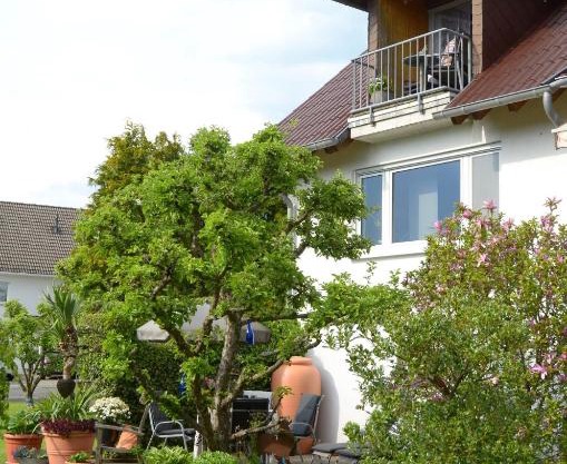 Ferienhaus Luzia
