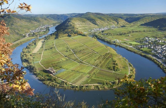 Ferienhaus Margarete * in romantic Moselle town St. Aldegund