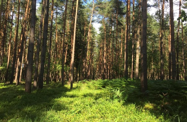 Ferienwohnung am Haff