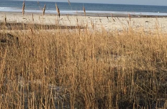 Ferienwohnung an der Ostsee bei Laboe
