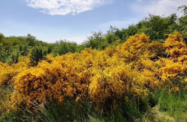 Ferienwohnung/app. für 2 Gäste mit 30m² in Alt Reddevitz