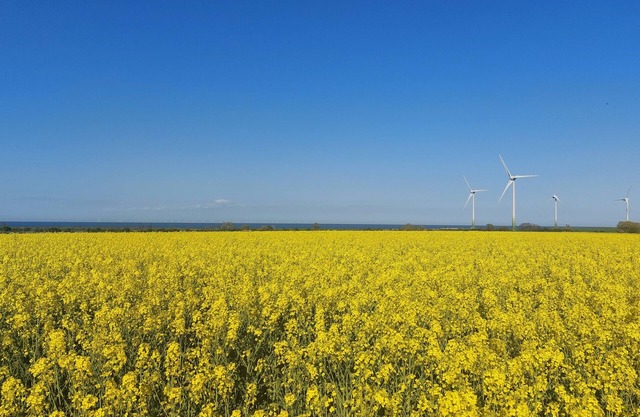 Ferienwohnung/app. für 2 Gäste mit 45m² in Fehmarn OT Presen