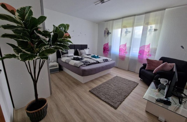 Ferienwohnung Starennest mit direktem Harzblick