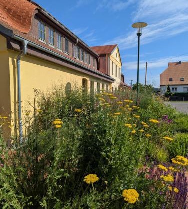 Ferienwohnungen - barrierefrei - im sanierten Gutshof