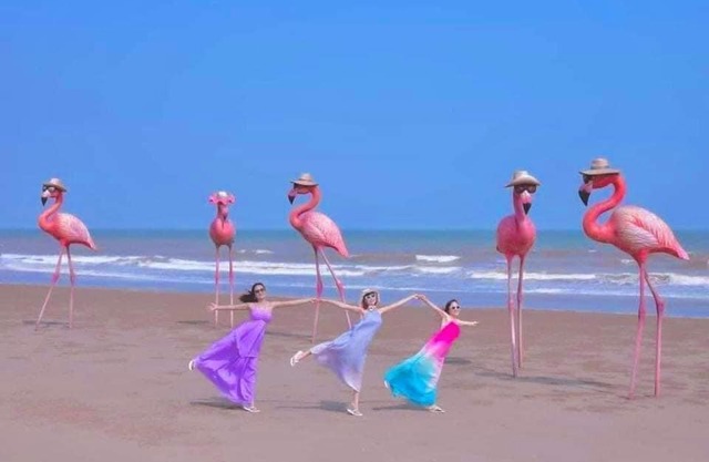 Flamingo Hai tien- view biển