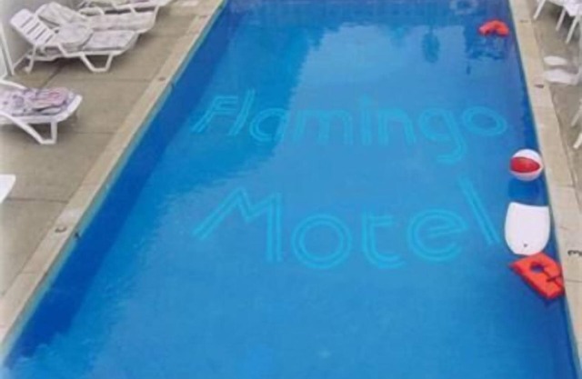 Flamingo Inn
