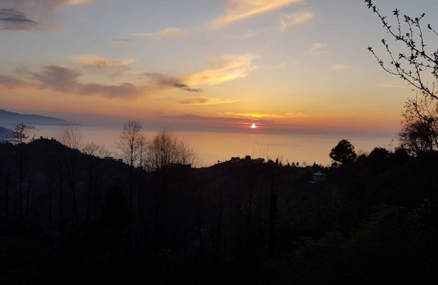 Flat with Magnificent View in Rize