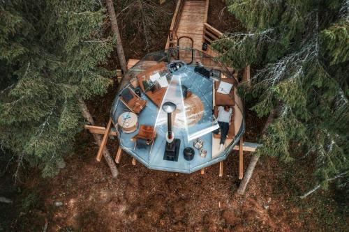Floating Glass Cabin In The Treetops Of Lårdal