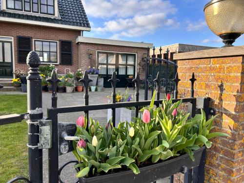 Flowerbed