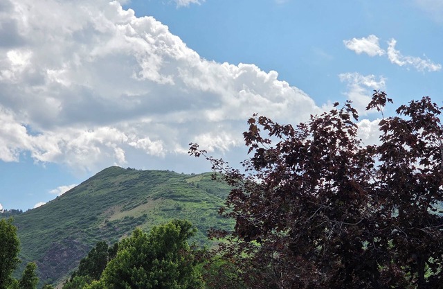 Foothills Valley Retreat - Read Description Below