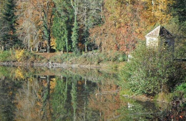 Forest ,Lake views and fishing