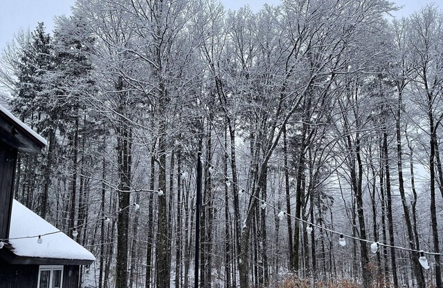 Forest Mountain Escape: Beautiful Mountaintop Escape In Mendon, Vt. 20 Min To Killington/14 To Pico. 4 Bedroom Home