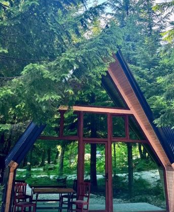 Forest View Villas & Treehouses