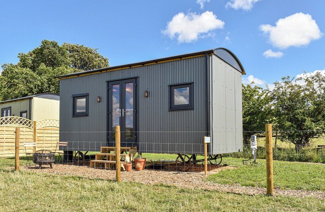 Forget-Me-Not - UK37646